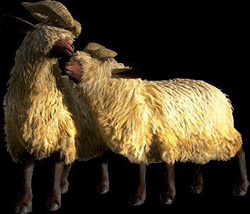 Moofah