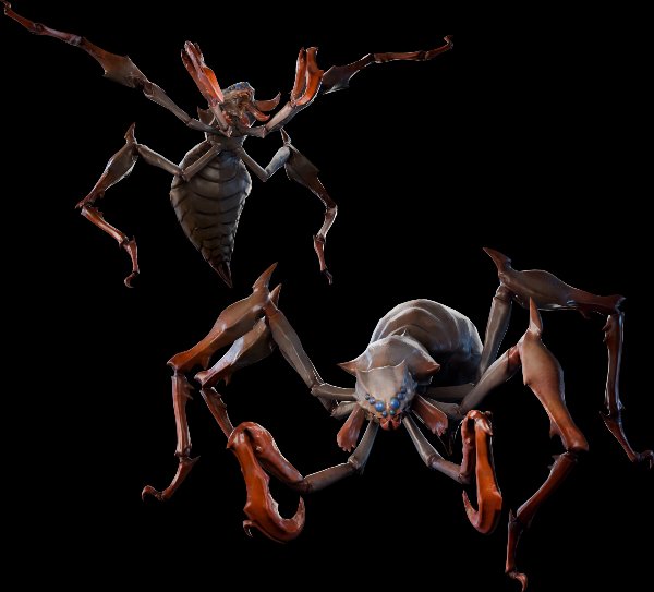 Nerscylla Hatchling