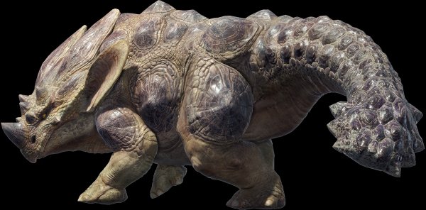 Rhenoplos