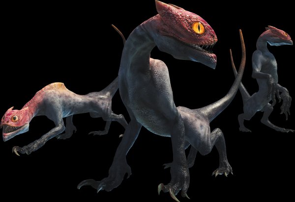 Shamos