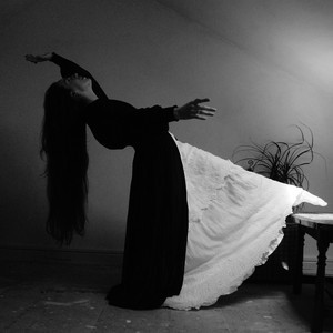 Spurious Transmutations - Elea Calvet