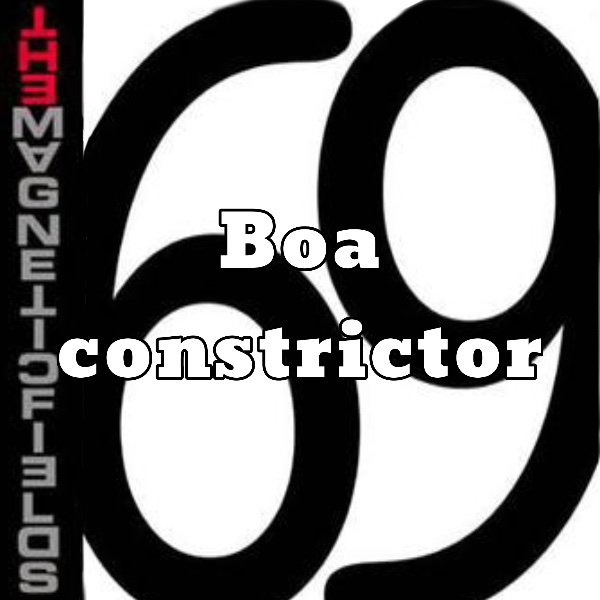 Boa constrictor