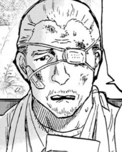 Knuckle Saturnia