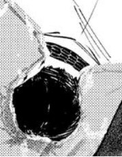 Yukihito Kankaiji