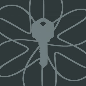 key293