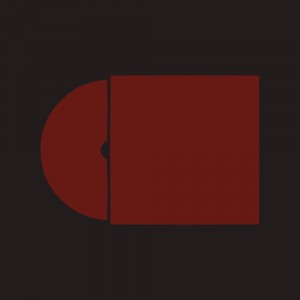 vinyl-case