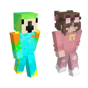 Flappy birds duo