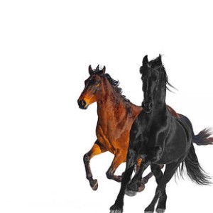Old Town Road (Remix) - Lil Nas X ft. Billy Ray Cyrus