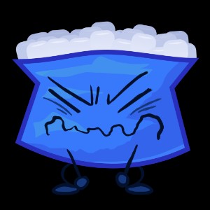 Ice Pack