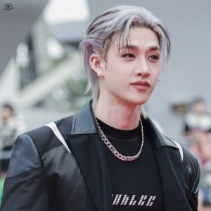 bangchan - long silver/black streaks