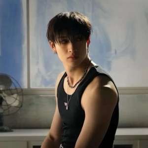 bangchan - short straight down black