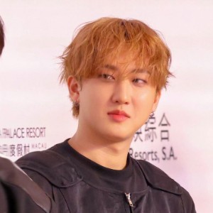 changbin - ginger poodle