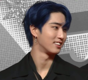 han - dark blue half-up