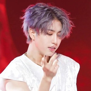 han - fluffy silver