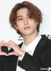 han - long fluffy/wavy brown