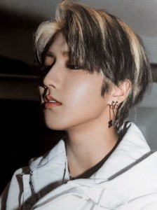 han - skunk streaks
