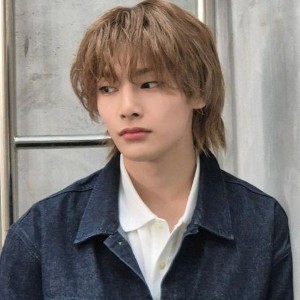 i.n - long fluffy brown