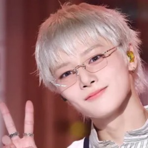 i.n - short silver bangs