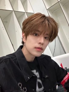 seungmin - fluffy brown