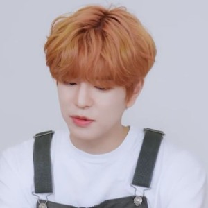 seungmin - fluffy peach