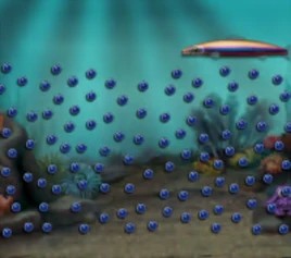 Insane Aquarium