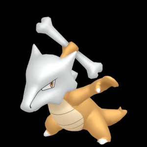 poke_capture_0105_000_mf_n_00000000_f_n