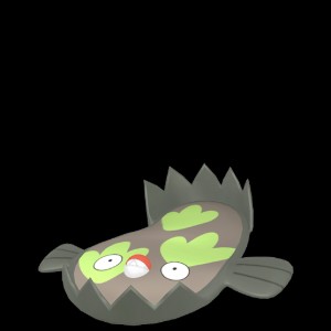poke_capture_0618_001_mf_n_00000000_f_n