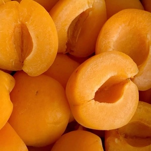 Apricot