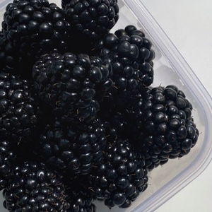 Blackberries