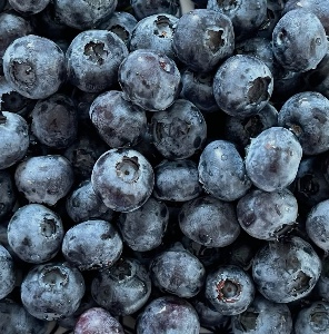Blueberries