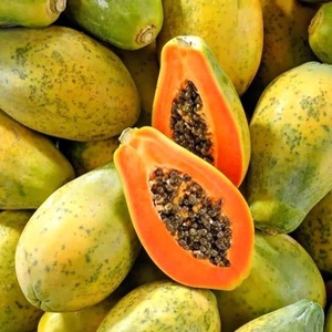 Papaya