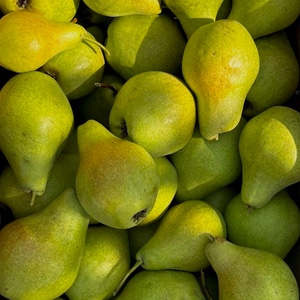Pears