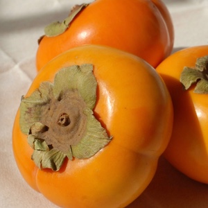 Persimmon
