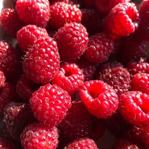 Raspberries