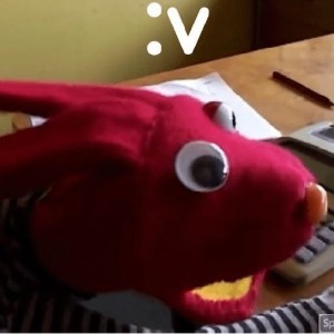 Bodoque