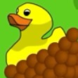 A Duck