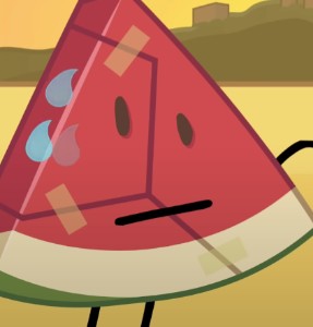 Watermelon Slice