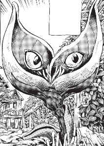 Stray Cat