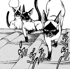 Wild Cat Size