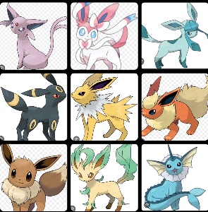 Eevee evolution group photo
