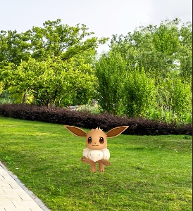Eevee in a field