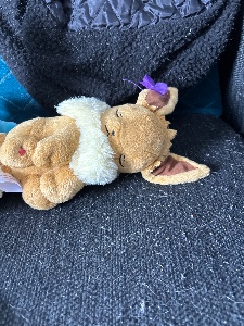 Sleeping Eevee plushie