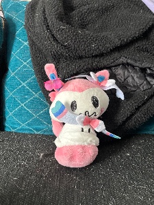 Sylveon Mimikyu
