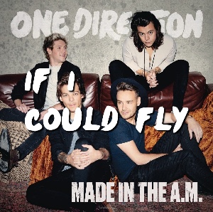 If I could fly