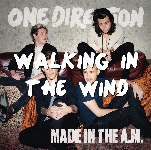 Walking in the wind