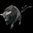 Paldean Tauros (CB)