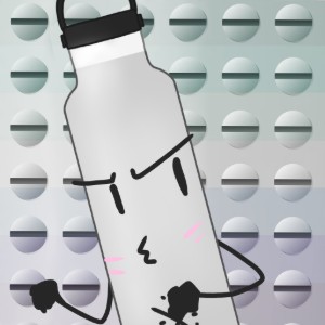 Hydro Flask
