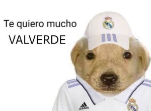 Fede Valverde