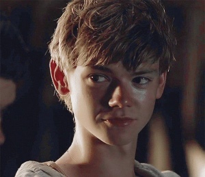 Newt