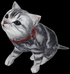 Jeane cat